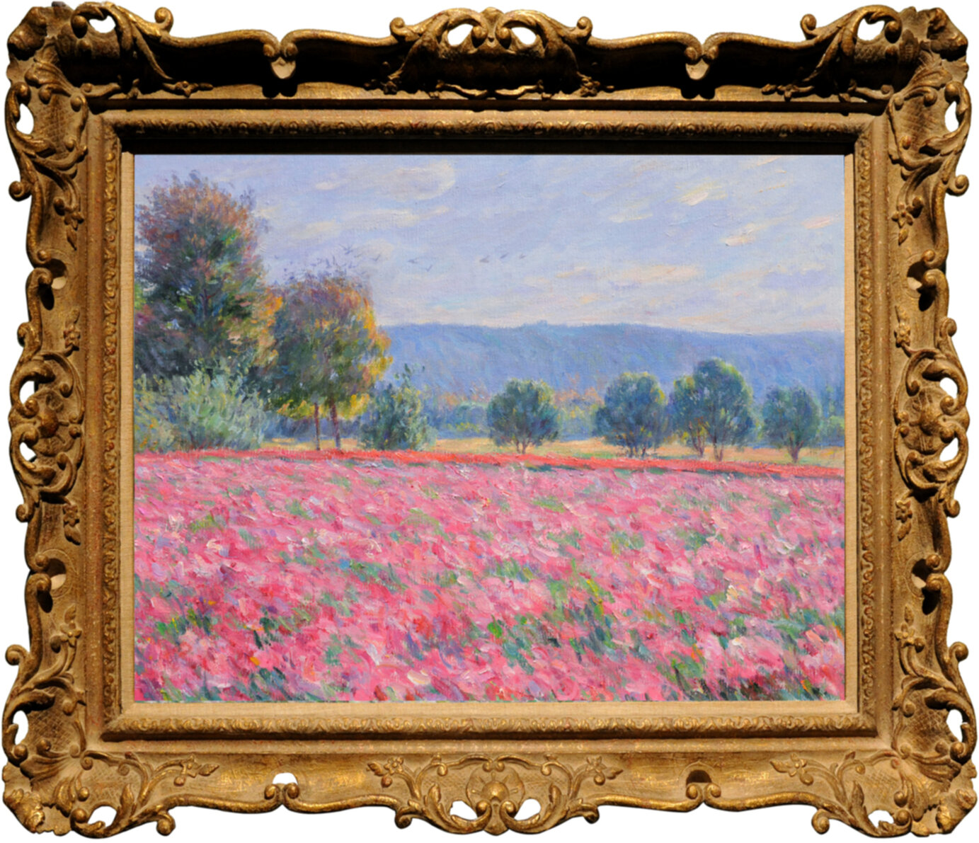 Pink Flower Fields 2
