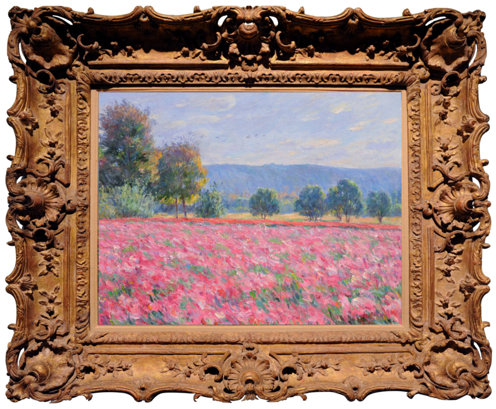 Pink Flower Fields 2