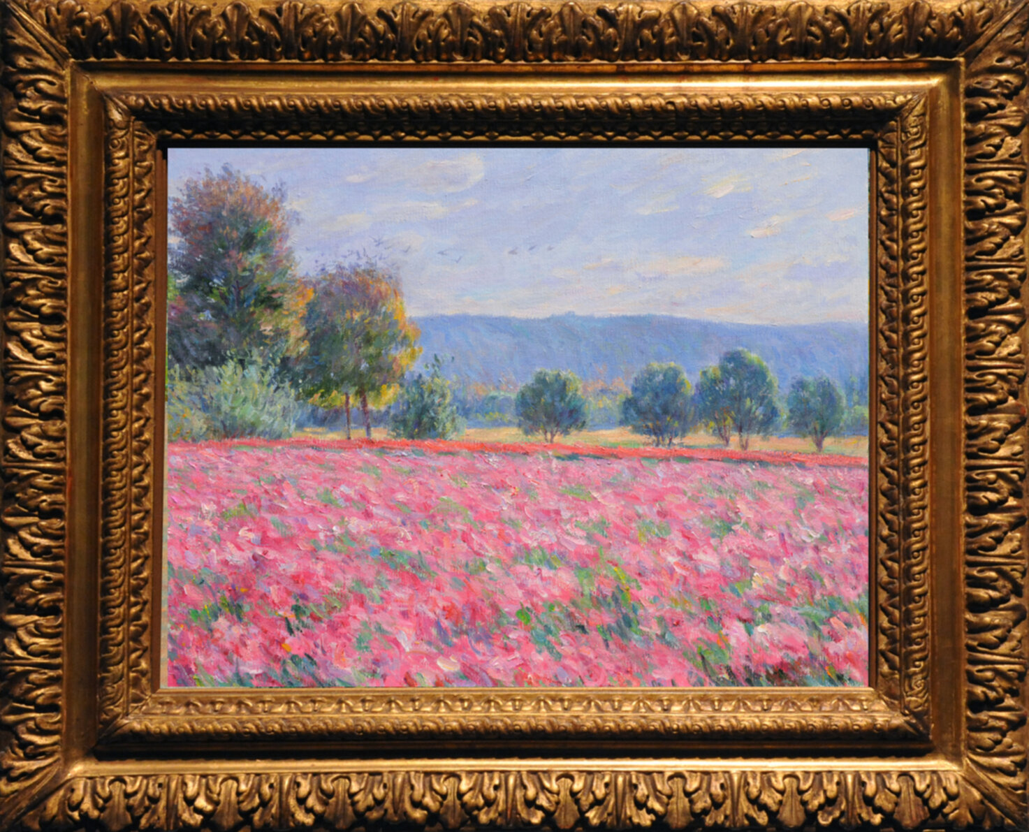 Pink Flower Fields 2