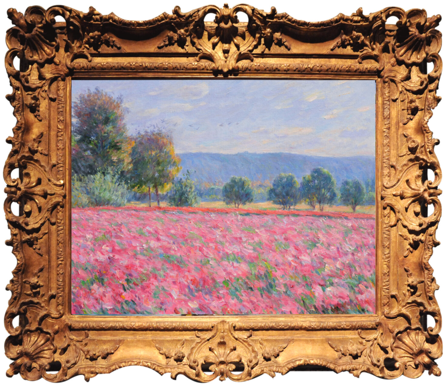 Pink Flower Fields 2