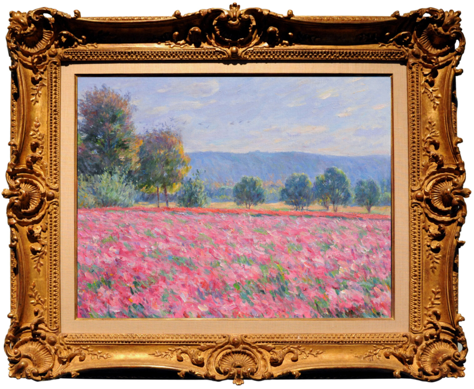 Pink Flower Fields 2