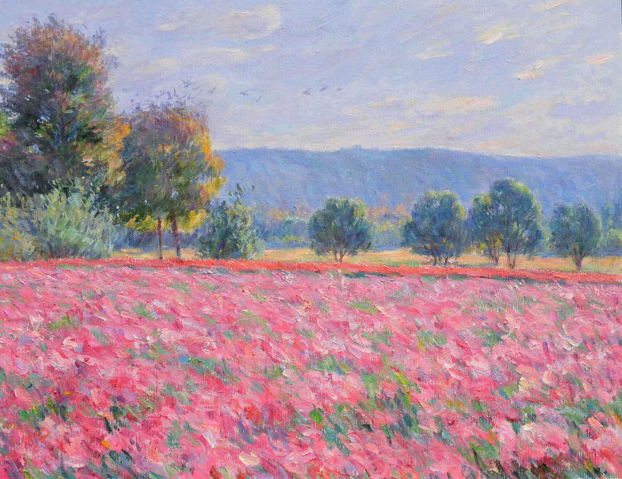 Pink Flower Fields 2