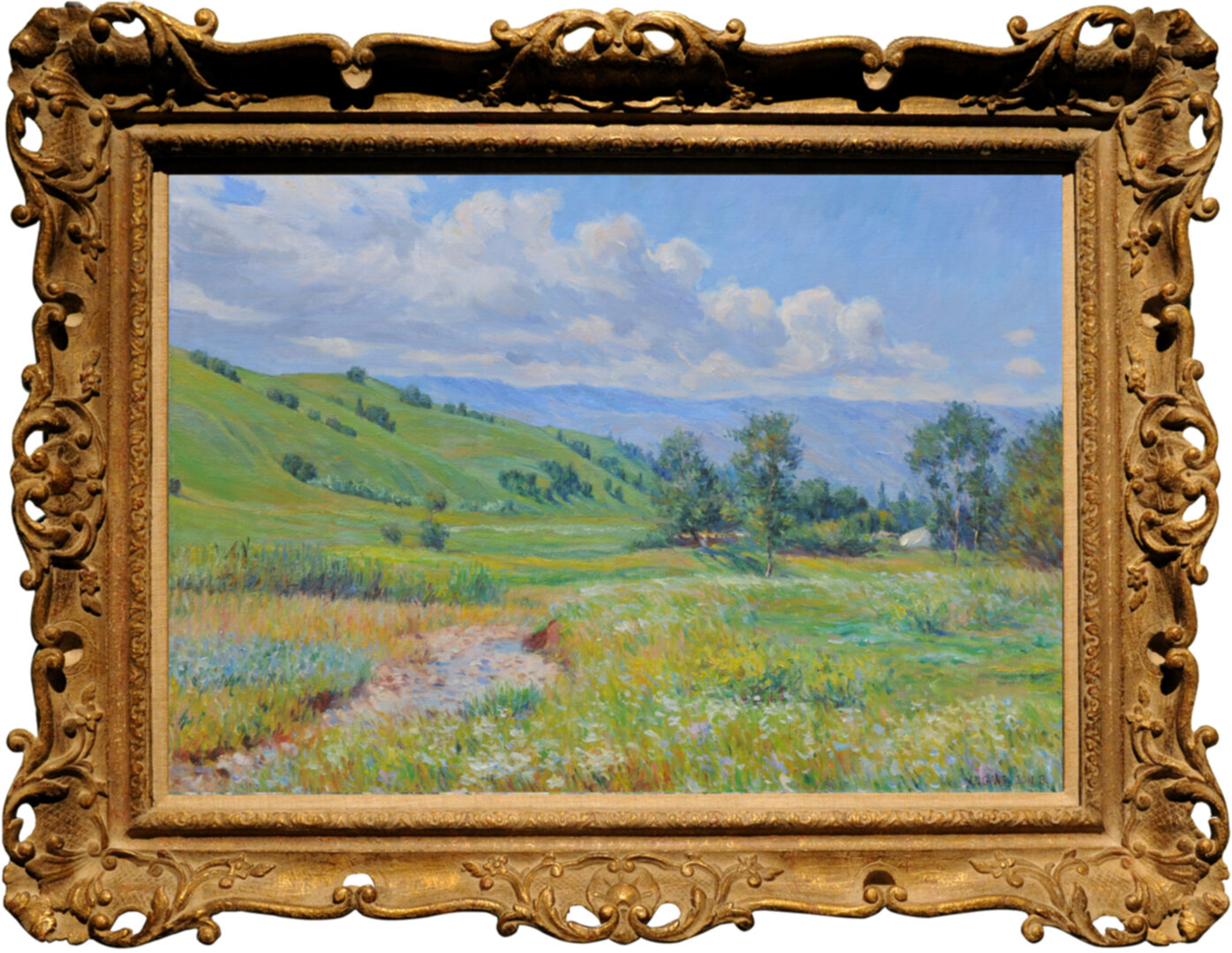 Summer of Nalati Grassland