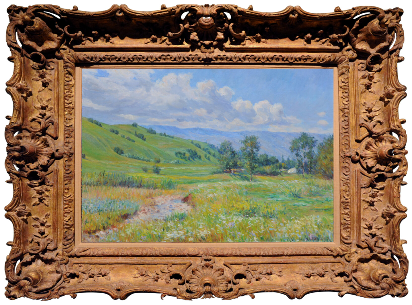 Summer of Nalati Grassland