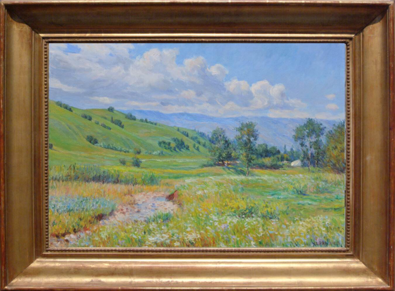 Summer of Nalati Grassland