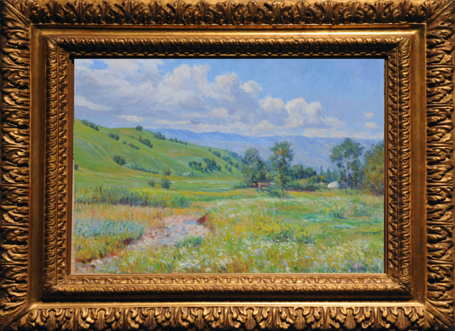 Summer of Nalati Grassland