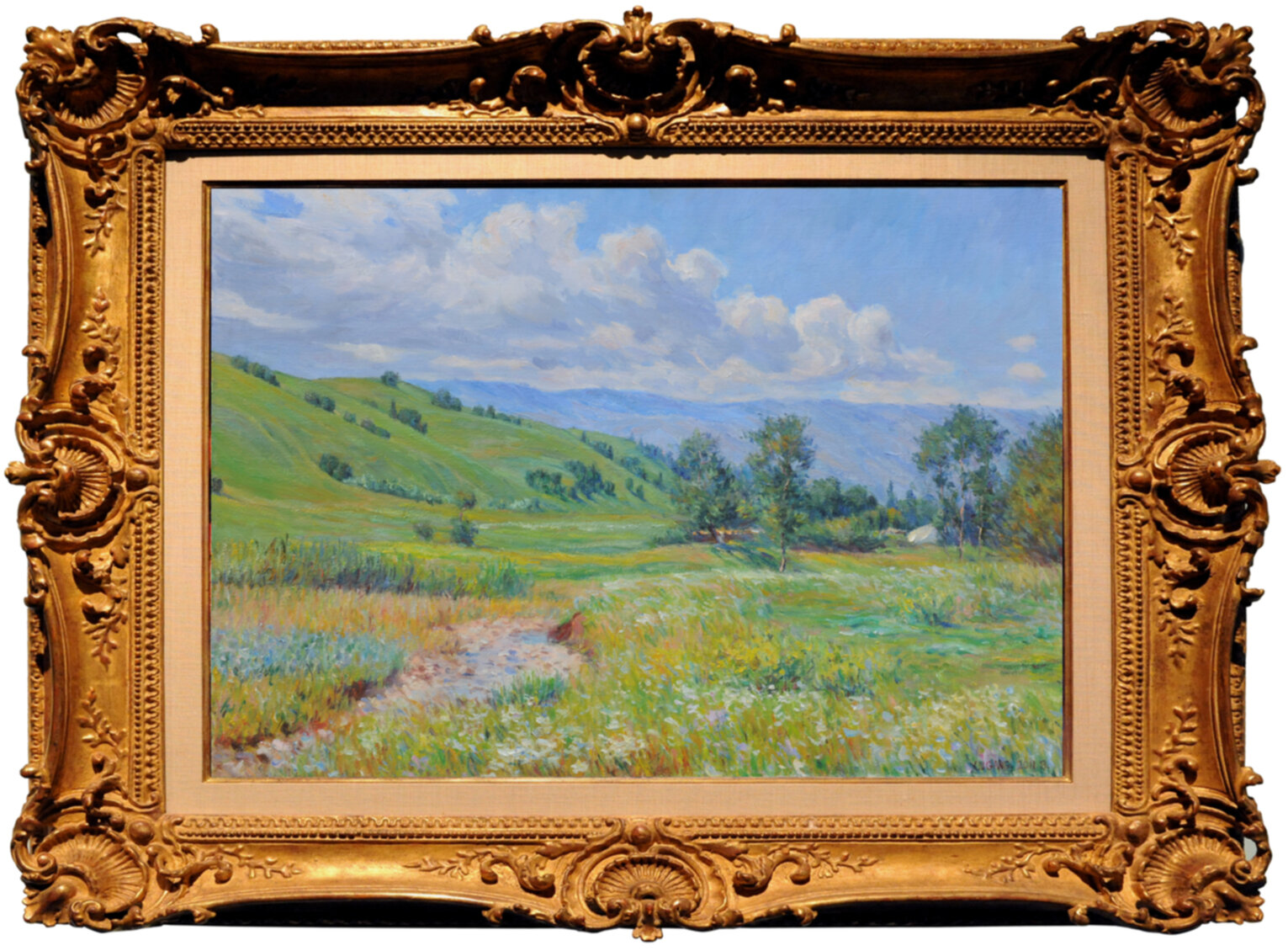 Summer of Nalati Grassland