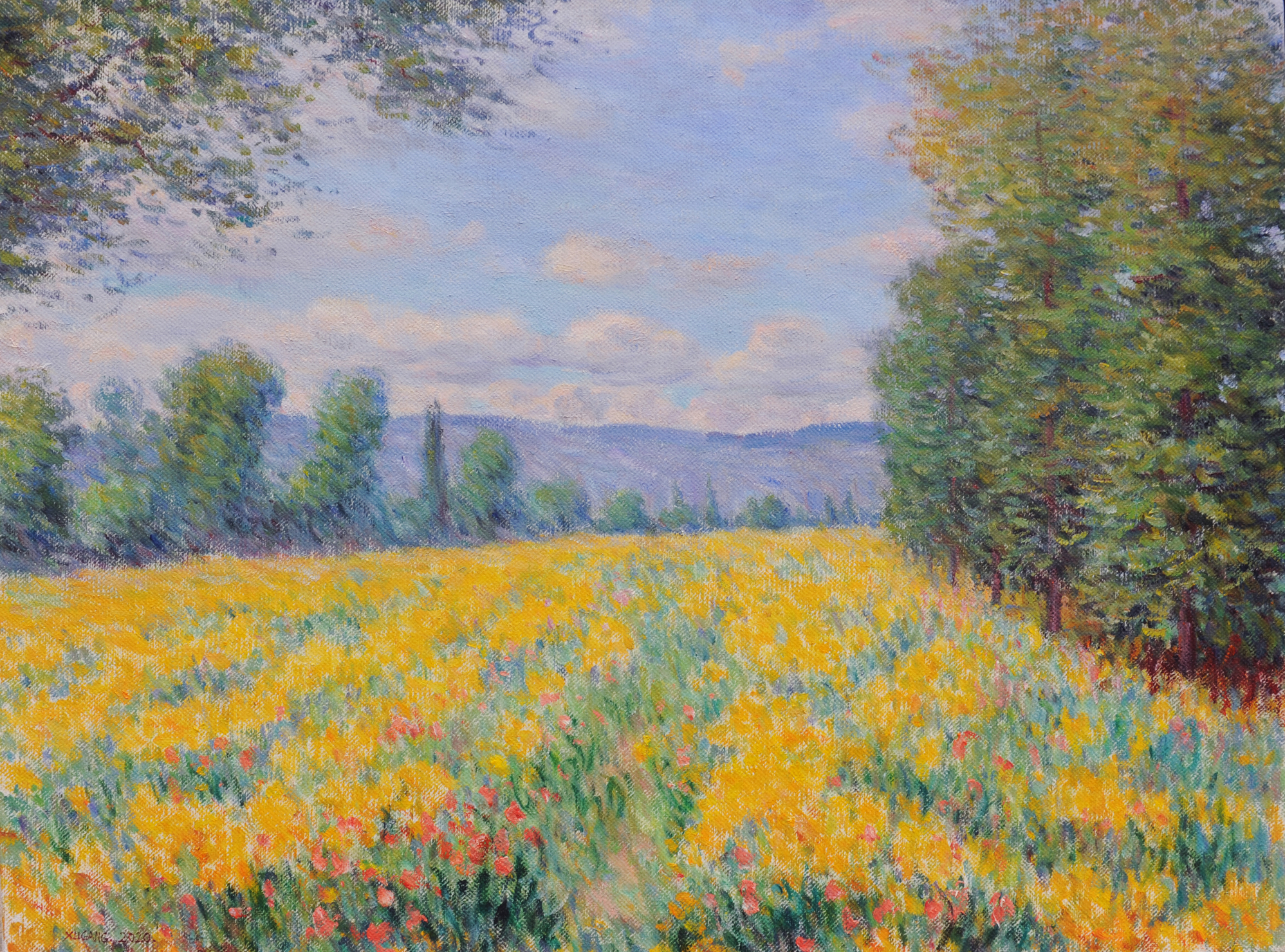 Yellow Flower Field